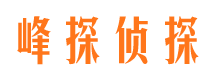 忻城侦探公司